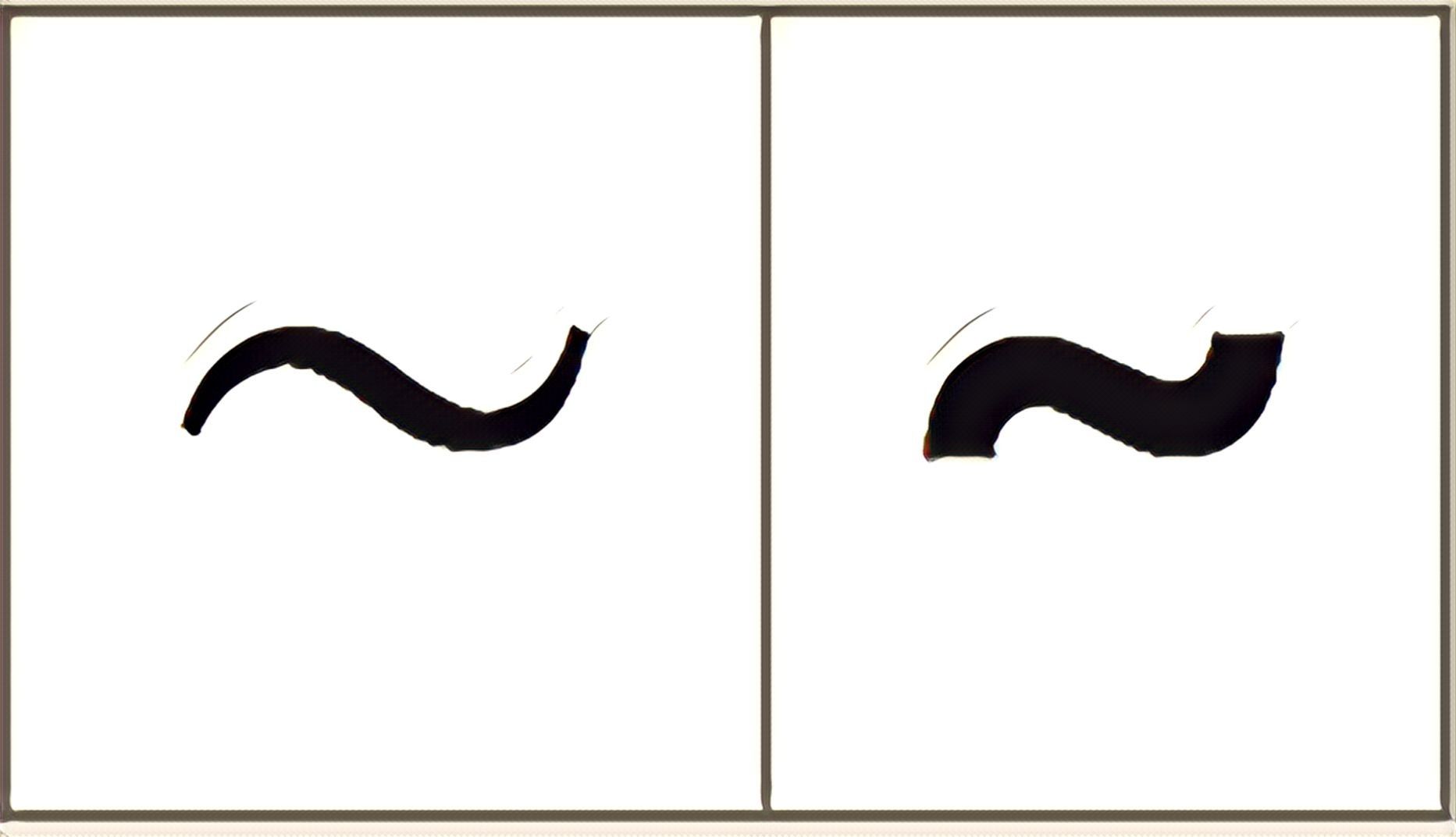What Is The Tilde Symbol Used For